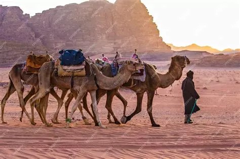 Fête de l'Épiphanie du Seigneur, Année A